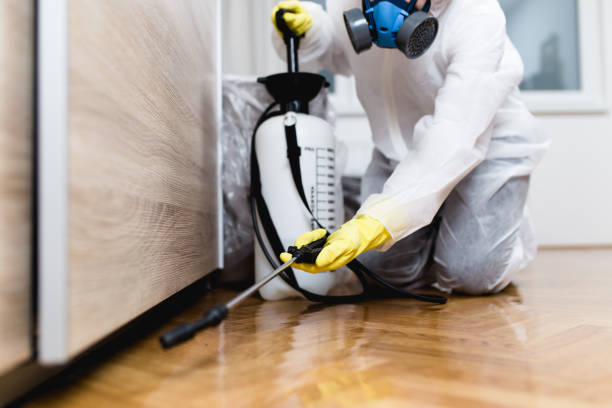 Best Bed Bug Extermination  in Naval Academy, MD