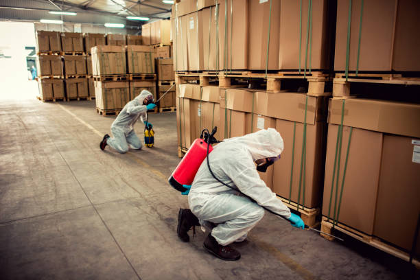 Wasp Removal Services in Naval Academy, MD