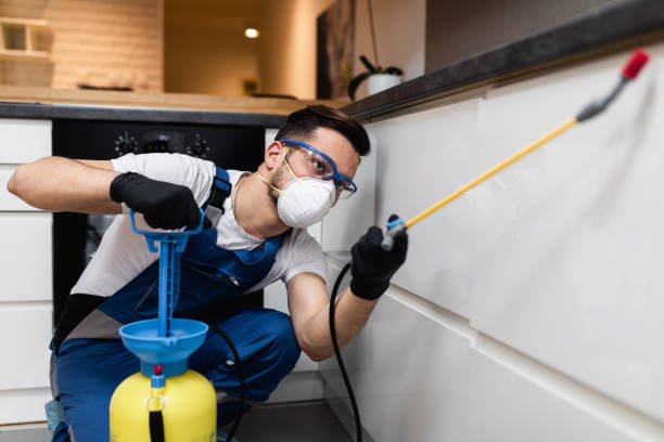 Best Cockroach Control Services  in Naval Academy, MD