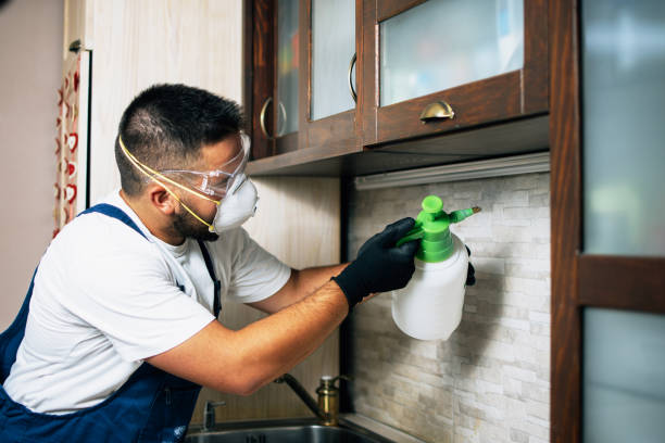 Professional Pest Control in Naval Academy, MD