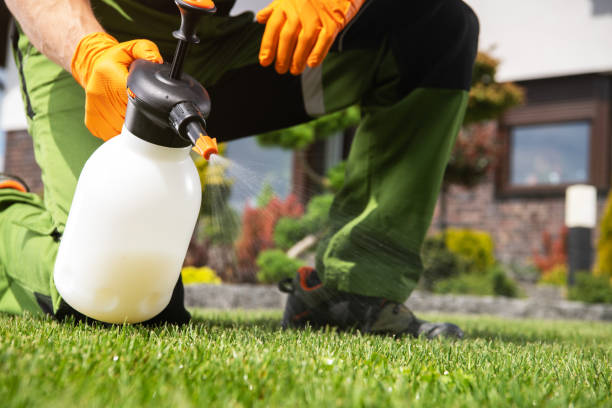 Best Pest Control Near Me in Naval Academy, MD