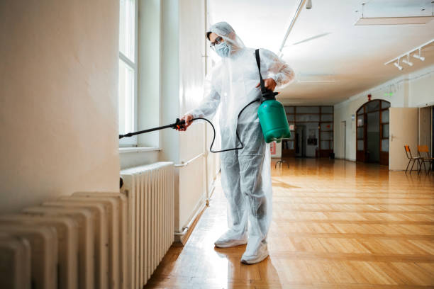 Flea Control Services in Naval Academy, MD