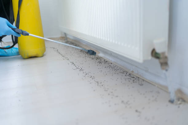 Best Pest Control Treatment  in Naval Academy, MD